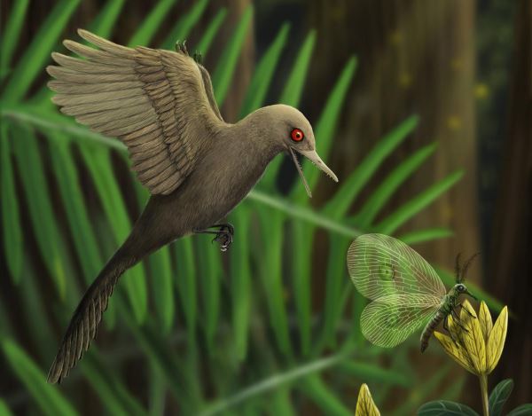 Обнаружен динозавр размером с колибри